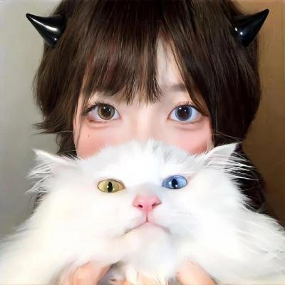 芒洛医生第二季