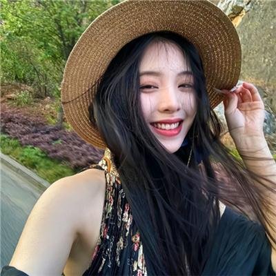 我私人的爱达荷
