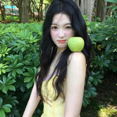 红野菊